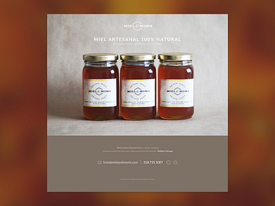 Miel & Moms website branding colombia honey landing page logo website