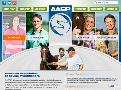 AAEP Web Design equine horse online web website