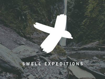 A swell bird logo :) bird brand branding expedition hawk identity logo swallow