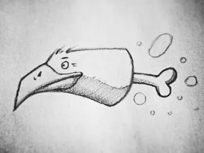 Cruisin' bird bone cartoon graphite sketch sketchbook