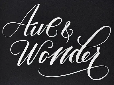 Awe and wonder brushpen calligraphy script typography