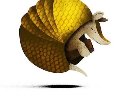 A charming armadillo animals armadillo illustration vector