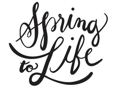 Handdrawn script mark calligraphy drawn handdrawn handwritten life logo mark script scroll typography