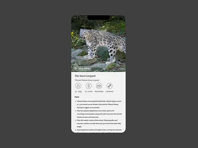 Day 45: infocard dailyui