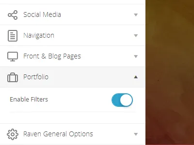 Options customization options template theme wordpress
