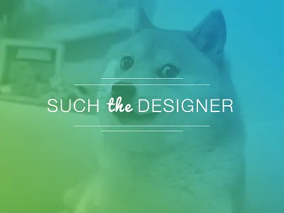 much gradient designer doge dribble first gradient ios much shot so very wow