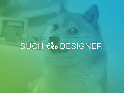 much gradient designer doge dribble first gradient ios much shot so very wow