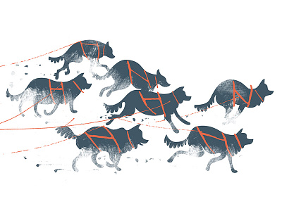 Sled Dogs canada dogs huskies illustration snow texture