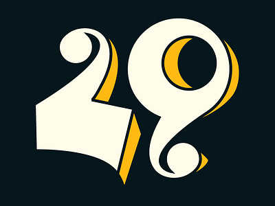 29 type