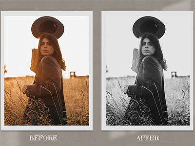 Black and White Lightroom LUTS