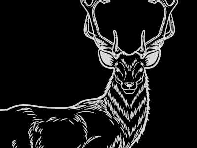 Stag animal antlers deer stag vector