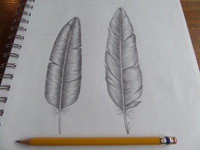 Two Feathers Pencil Sketch drawing feathers illustration pencil sketch