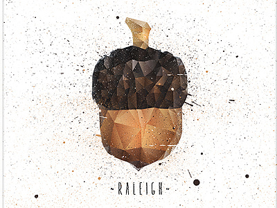 Raleigh Acorn acorn brown city iphone north carolina nut polygon print raleigh splatter wallpaper yellow