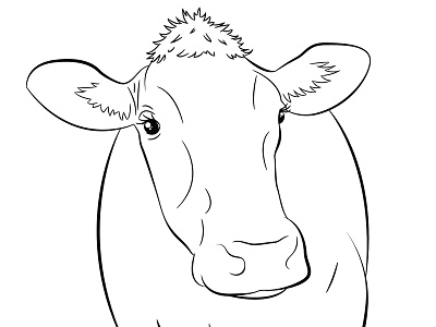 Line-work Of Guernsey ada cow dairy line work vector