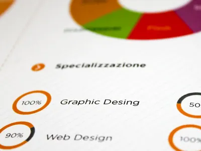 Infographic cv creative curriculum design designer flat graphic graphicdesign info infographic vector