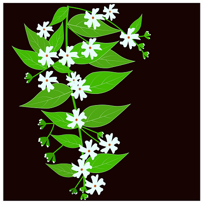 Night flowering jasmine flower vector design