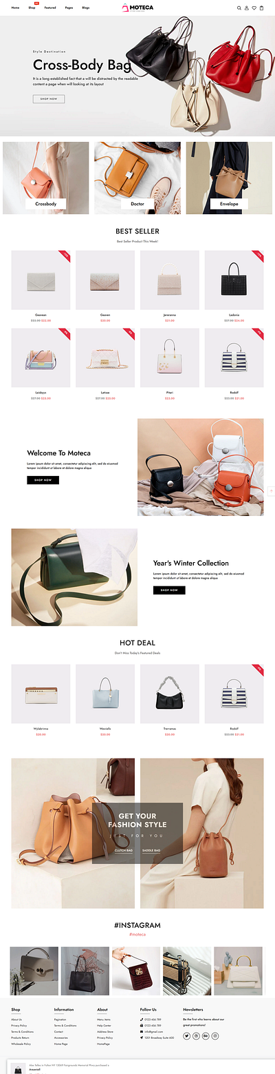 Shopify Hand Bag Store Design design shopify store design web design web development