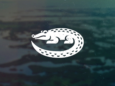 Alligator albino alligator crocodile florida logo mark