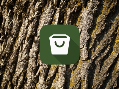 Wood Pack – Volume 1 bark brown download dry nature photo texture tree trunk veining wood wood texture package