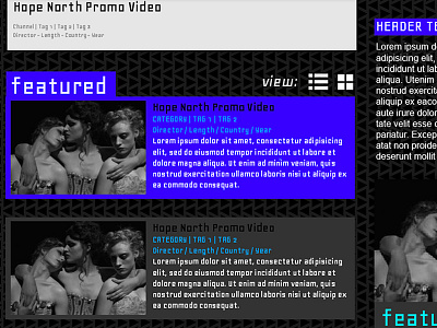 Video Site videos web design website