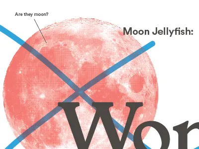 Jellyfish Poster animal fish jelly jellyfish poster