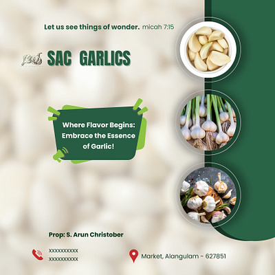 Garlic shop poster design advertisement branding canva design freelancing graphic design photoshop poster poster design product deign visual identity