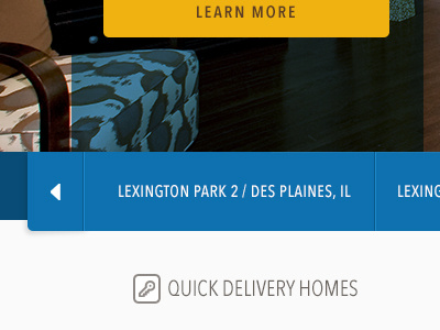 Slider arrow homes promo slider slideshow subtle