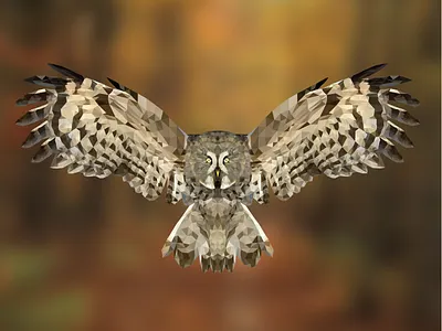 Owl Polygon animal bird design illustrator owl photoshop poly polygon vector wildlife