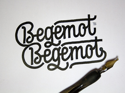 BegemotBegemot Calligraphy Logo calligraphy calligraphy and lettering artist calligraphy artist calligraphy logo et lettering evgeny tkhorzhevsky font hand lettering logo lettering artist lettering logo logo type