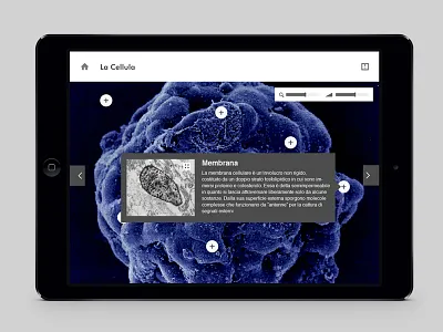 RCS Educational App - Tooltip app device educational ipad ipad mini iphone landscape mobile portrait retina