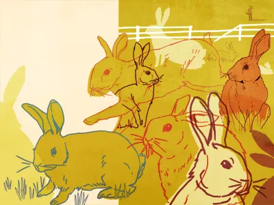 Thomas Austin and the Rabbits animals australia illustration rabbits