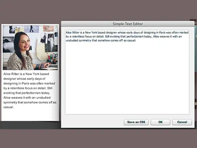 Simple Text Editor adobefireworks fireworks projectphoenix