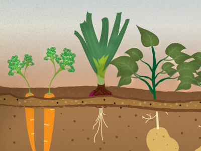 Grow your own crop illustration vector vegetables wip