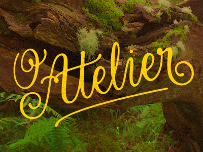 o atelier elegant fancy lettering logo logotype o atelier script