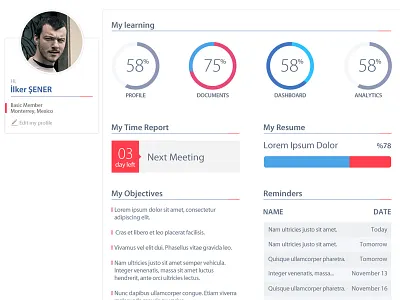 Flat Form Design analytics button documents form objectives profile report shape web