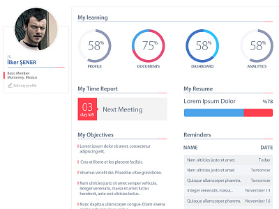 Flat Form Design analytics button documents form objectives profile report shape web
