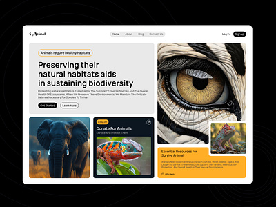 Animal Rescue Website animal animal farm dailyux figma hero image hero section inspiration landing minimal popular remote work rescue trend ui ui designer uiux ux uxlife web design website