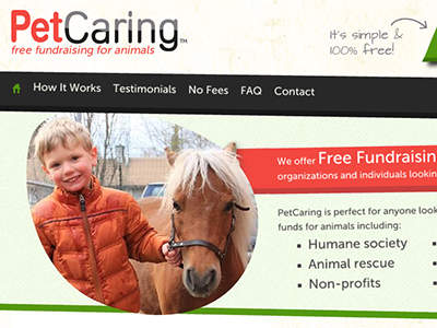 PetCaring angles web design