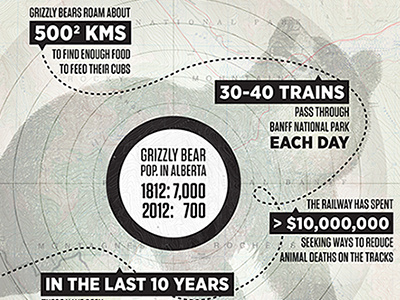 Bear 71 alberta bear bear 71 graphic design illustration infographic map national film board of canada nfb