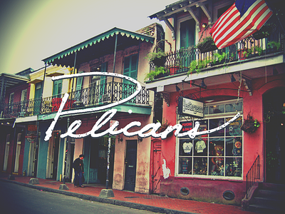 Nola Pelicans graphic design hand lettering nola pelicans typography