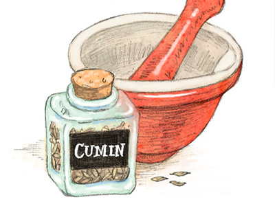 Cumin cooking cumin food herb herbs jar mortar pestle seed spice