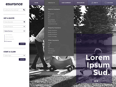 Esurance Spec button esurance form insurance menu navigation ux website