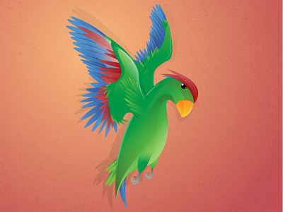 Bird animal bird illustration illustrator