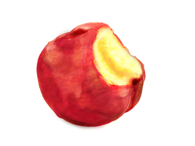 Juicy drawing gouache illustration juicy orange painting peach
