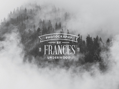 Photography Logo Vol 2 anders cards creative design house logo market of photo photography tom vintage