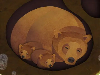 Sleeping Bears bears collage grizzly bears hibernate