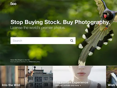 Prime Home 500px landing page photo photography search stock web