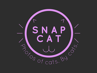 Snapcat branding design logo