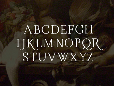 In Progress Typeface antique classical clean custom font letters serif serif font stress typeface uppercase