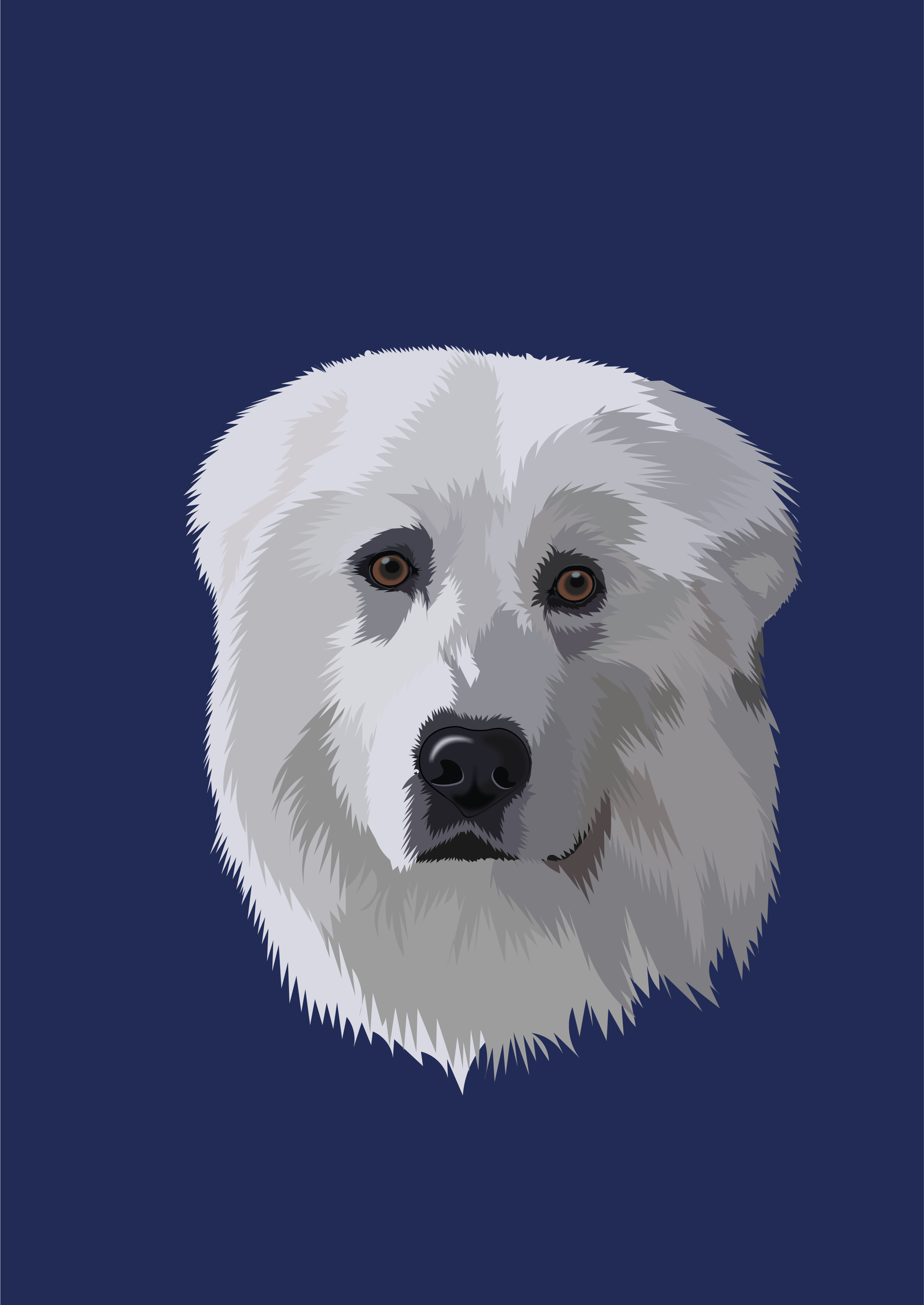 Maremma Sheepdog animal animalillustration art digitalart dog doglover graphic design illustration maremma sheepdog minimalistart pet petlover portrait vector